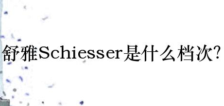 德国舒雅是什么档次?德国Schiesser舒雅品牌简介!