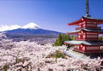 日本转运